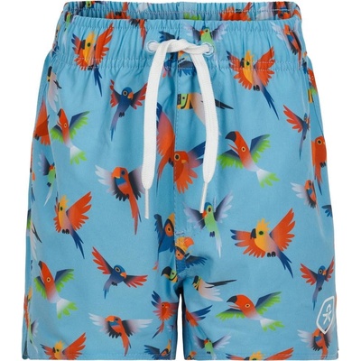 Color Kids Chlapecké plavky-Swim shorts short Aop Upf 30+ Blue Fish modrá