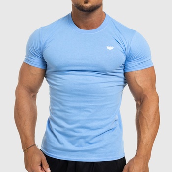 Pánske fitness tričko Iron Aesthetics Standard, modré, , Farba Modrá