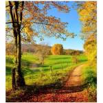 DIMEX ART Флизелинов фототапет ливада 225 x 250 см