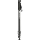 Walimex WT-1003