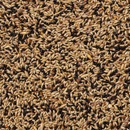Deli Nature 53 Canaries Extra 4 kg