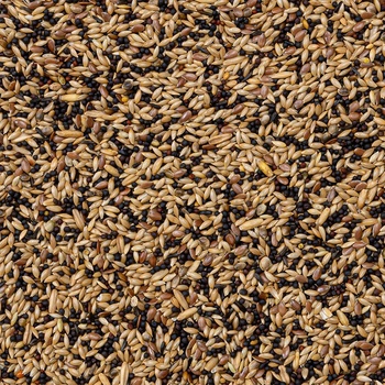Deli Nature 53 Canaries Extra 4 kg