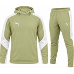 PUMA evostripe team winter - 659954-40 / 659948-40 - Мъжки спортен екип
