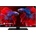 GoGEN TVF 22P406