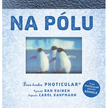 Na pólu