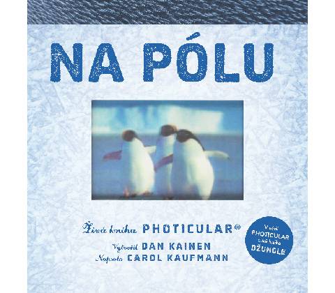 Na pólu
