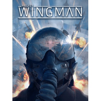 Project Wingman