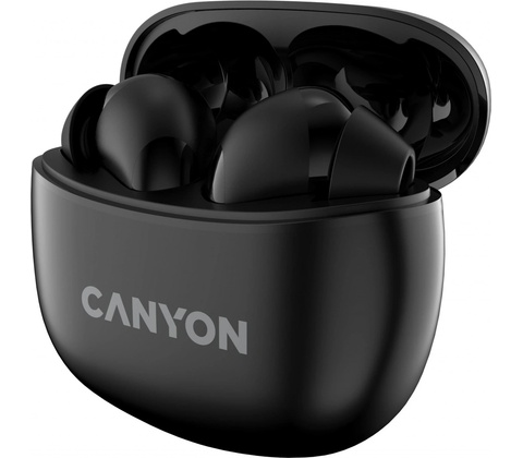 Canyon CNS-TWS5