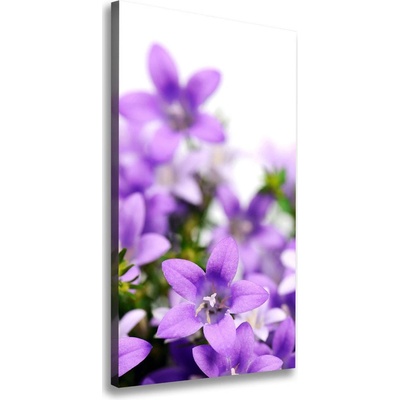 Vertikálny foto obraz na plátne Fialové zvončeky 50x100 cm