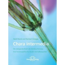 Chara intermedia