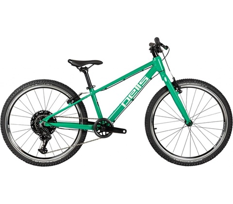 Pells Rocket Lite 2024