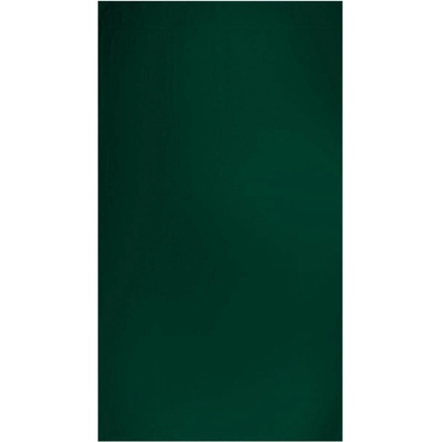 The One Towelling Plážový ručník T1 R100 Bottle Green 100 x 180 cm