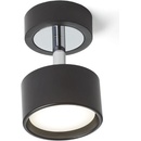 Rendl R11773