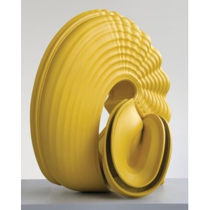 Tony Cragg | Stéphane Verger (ISBN: 9788857253497)