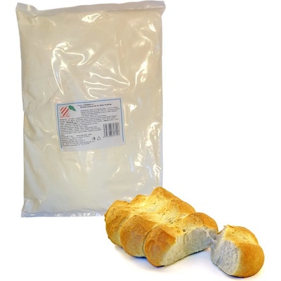 Salgar Zlepšovací přípravek MN10 do kynutých těst přírodní 1 kg