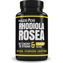 Rhodiola Rosea Rozchodnica ružová 100 tabliet