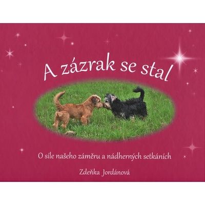 A zázrak se stal - Zdeňka Jordánová