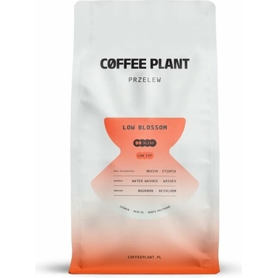 Coffee Plant Nízký květ zrnková 800 g