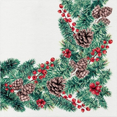 PAW AIRLAID Ubrousky 40x40cm AAND017300