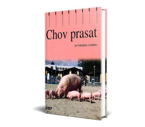 Chov prasat