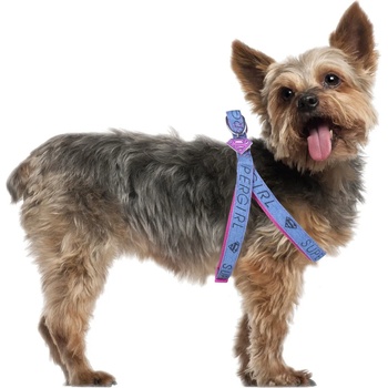 Image 1 of Cerda Хамут за кучета - superman - 2800000310