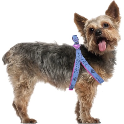 Cerda Хамут за кучета - superman - 2800000310