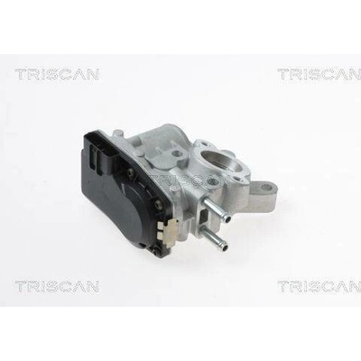 AGR-Ventil TRISCAN 8813 14100 (881314100)