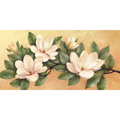Magnolie 1 deska 100x50