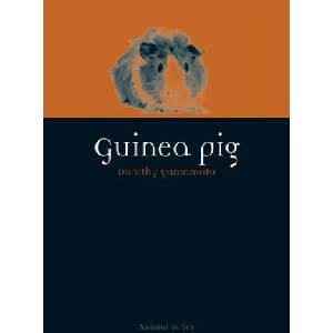 Guinea Pig | Dorothy Yamamoto (ISBN: 9781780234267)