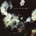 2 The Cure - Disintegration LP