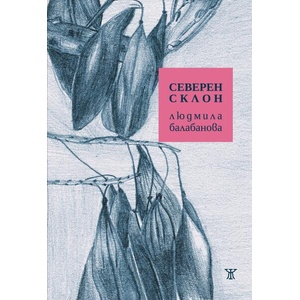 Северен склон (ISBN: 9786191869350)