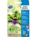 Avery C2552-50