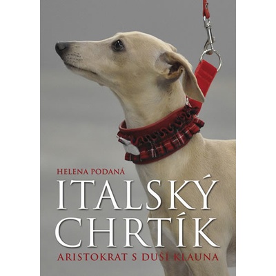 Italský chrtík