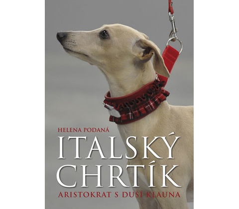 Italský chrtík