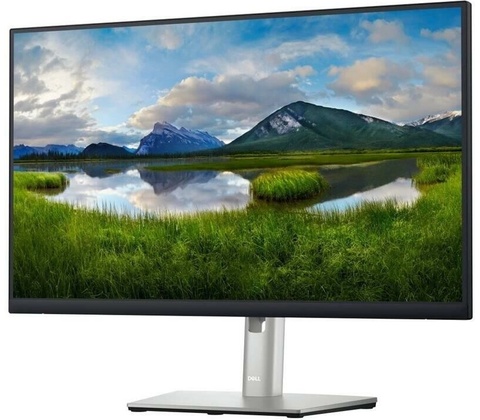 Dell P2423DE