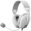 Image 1 of White Shark Sparrow GH-2443