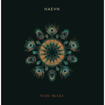 HAEVN: Wide Awake LP