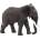 Mojo Фигурка Mojo Wildlife - Африкански слон (387189)