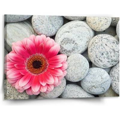 Sablio Obraz Gerbera na kamenech - 150x110 cm