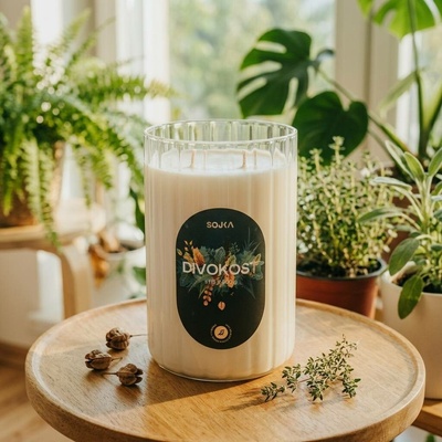 SOJKA DIVOKOST AURA 800 g