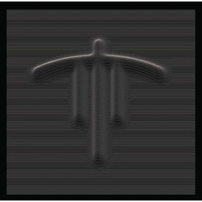 Stroon • Songs Of Concealed Amplitude LP