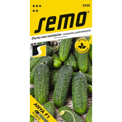 UHORKY nakladačky hrubobradavičnaté Anya F1