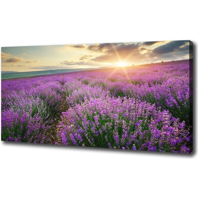 Foto obraz na plátne do obývačky Pole levanduľa 100x50 cm