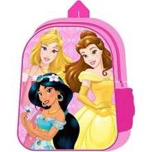 W Brown V. Disney Princess 1029HV-8246