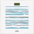 Laica PS1074W