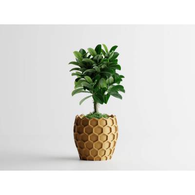 Кашпа Beehavia Голяма, 203x203xH195мм- Златна