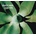 Depeche Mode - Exciter 2 CD