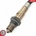 Lambda sonda ESEN SKV 09SKV206