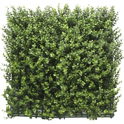 Umělý živý plot BUXUS DONKER PREMIUM, 4ks dílce 50x50cm, plocha 1m2