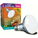 Arcadia D3 Basking Lamp 100 W